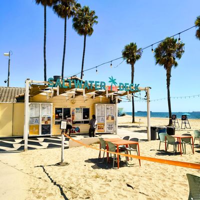 SALTWATER DECK by null