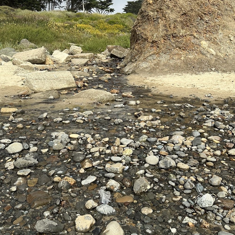 Fitzgerald Marine Reserve - Parks Near Me - Moss Beach, California