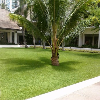Halekulani Hotel - Garden Courtyard - Hotels Near Me - Honolulu, Hawaii