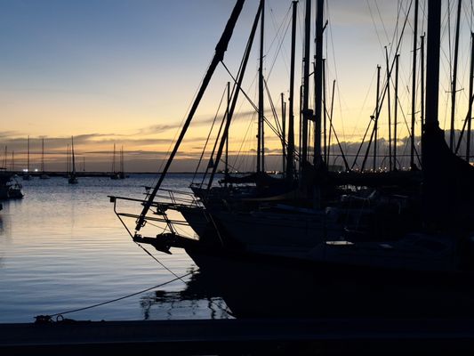 La Mariana Sailing Club by null