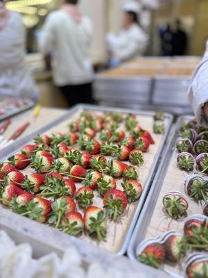 Candy Palace and Candy Kitchen by null