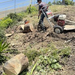 H & R Gardening