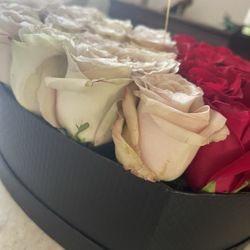 Wonderland Flowers