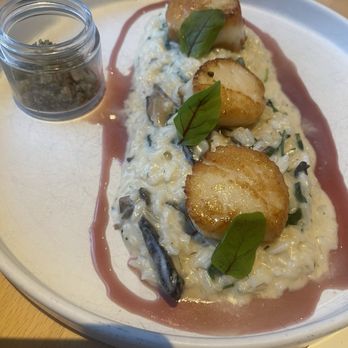 Solstice - Scallops - New American Near Me - Irvine, California