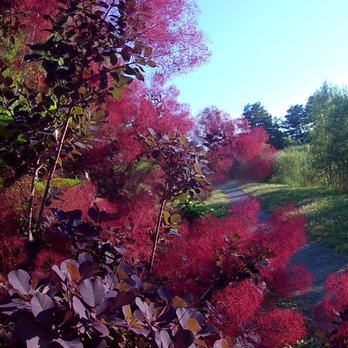 Hidden Pond - Parks Near Me - Hingham, Massachusetts Hidden Pond - Parks Near Me - Hingham, Massachusetts