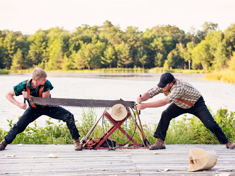 Tree Services SLC - tree service in Salt Lake City, UT