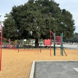 Trabuco Elementary School - One of many old oak trees on campus