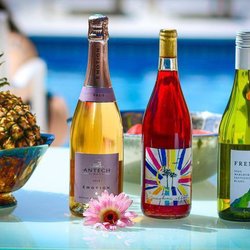 Stem Wine Bar - Wine club Summer picks!