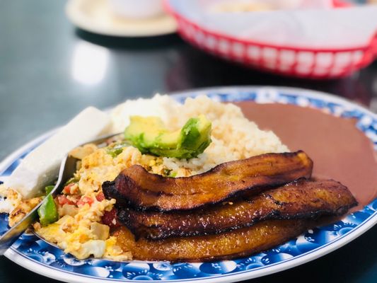 La Flor Blanca by null