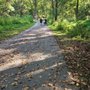 Photo of Percy Warner Park