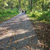 Percy Warner Park gift card