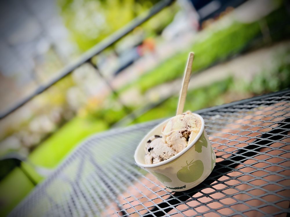 CAYUGA LAKE CREAMERY AT THE DEWITT MALL Updated September 2024 27