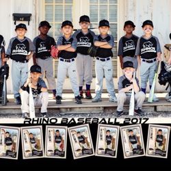 Rhino's Baseball and Softball Facility - Youth Baseball Teams