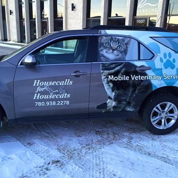 Housecalls For Housecats Veterinary Services - Veterinarians Near Me Housecalls For Housecats Veterinary Services - Veterinarians Near Me