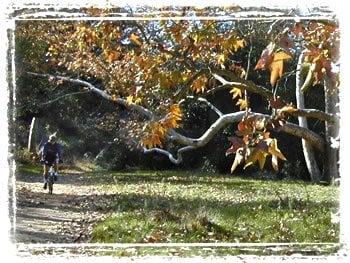 Rose Creek Watershed Alliance Logo