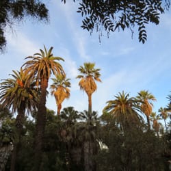 Jardim Botânico da Universidade de Lisboa
