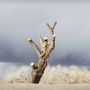 Photo of All Around Forestry