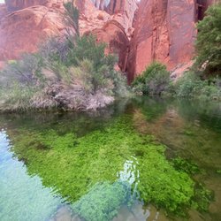 Lees Ferry On the Fly - Find your desert oasis with a trip upriver with us!