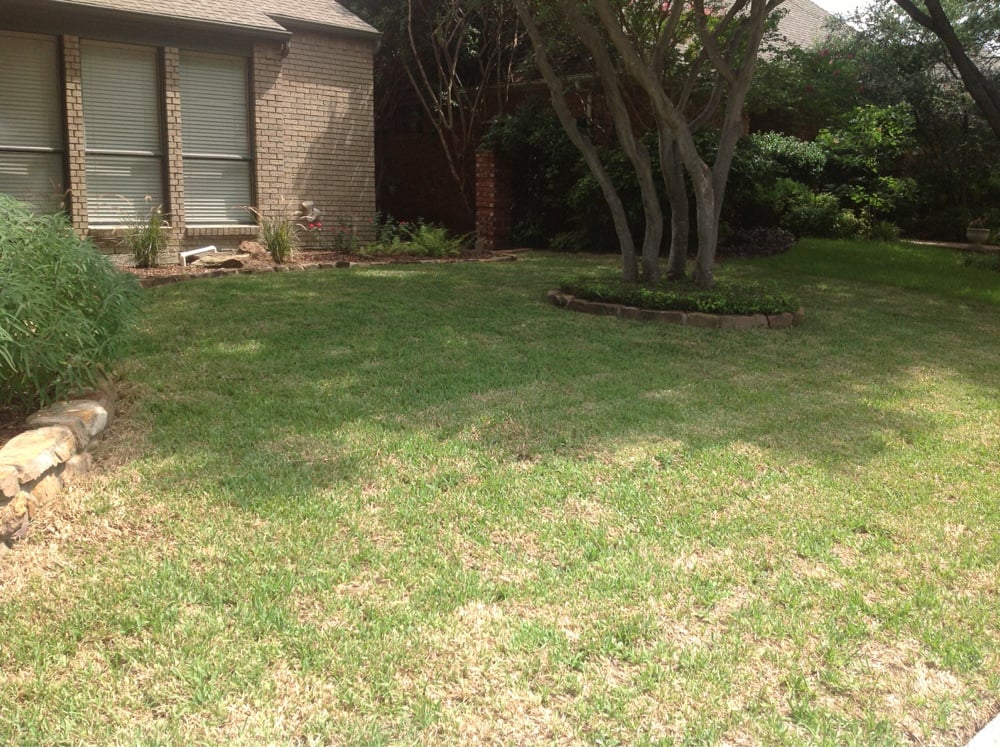 LAWNBORNE LANDSCAPING Updated April 2024 1000 N Dwight Ave, Dallas