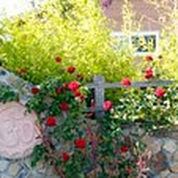Sonoma Ashram - Sonoma Ashram