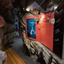 Museum of North Carolina Minerals