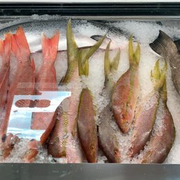 Fresh caught off the Keys today!