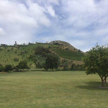 Church Road Winery - Backdrop to it all - New Zealand Near Me - Taradale, TAS