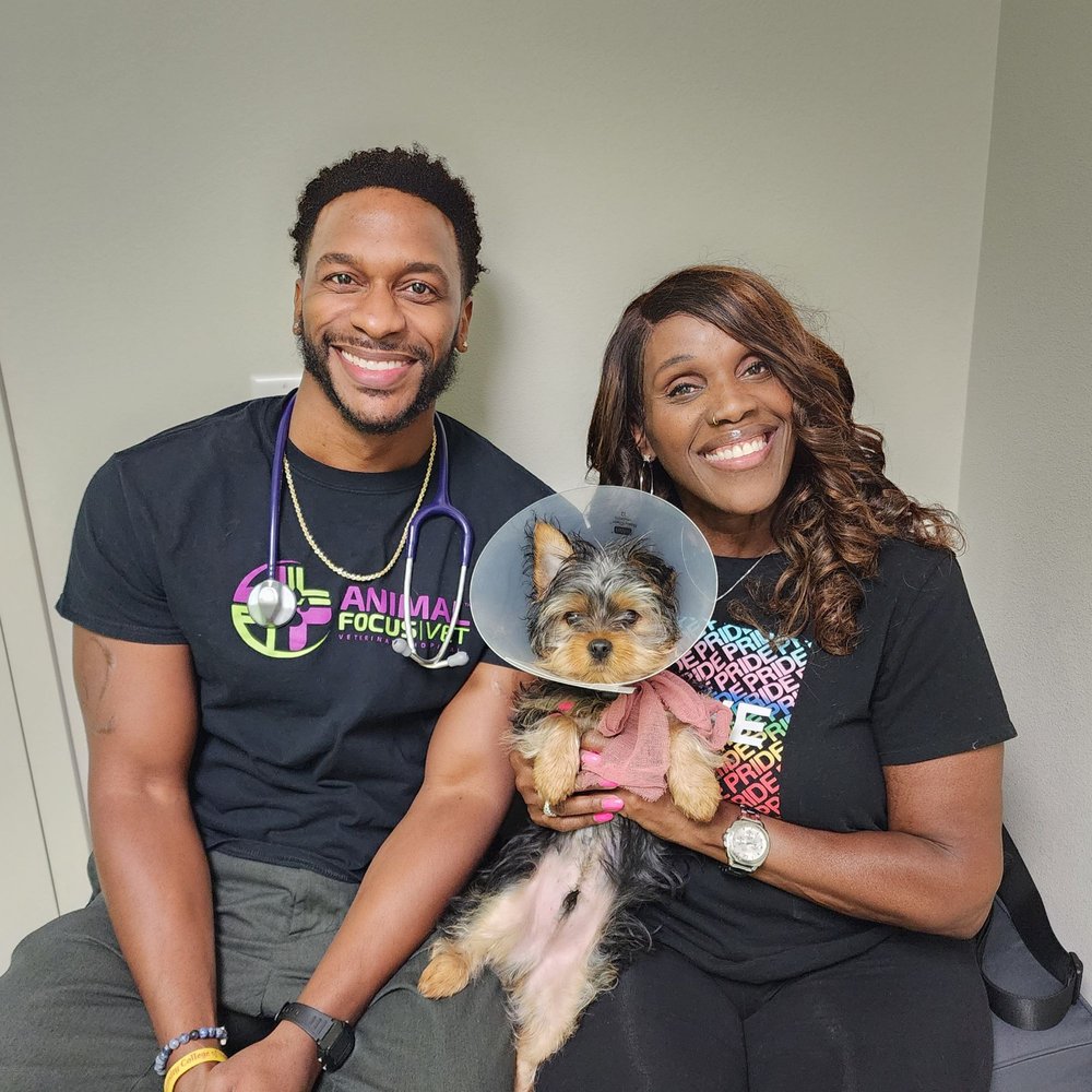 Animal Focus Vet - Horizon - pet boarding facility in Henderson, NV