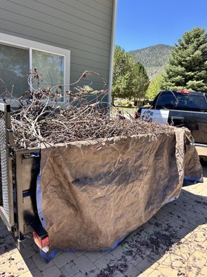 Local Junk Removal - 775-710-1448 - From Overwhelmed to Organized in One Day
Whether you're facing an estate cleanout, preparing for a move, tackling years of accumulated belongings, or simply ready to reclaim your garage, we turn your most stressful cleanup projects into seamless solutions. No job too big, no detail too small.
Ready to breathe easy in your own home again?
📞 Call (775) 710-1448 for your free estimate and same-day service in Gardnerville, Carson City, Minden, and surrounding areas.
Don't let another weekend disappear to clutter. Your organized, peaceful home is just one phone call away. Local Junk Removal - 775-710-1448 - From Overwhelmed to Organized in One Day
Whether you're facing an estate cleanout, preparing for a move, tackling years of accumulated belongings, or simply ready to reclaim your garage, we turn your most stressful cleanup projects into seamless solutions. No job too big, no detail too small.
Ready to breathe easy in your own home again?
📞 Call (775) 710-1448 for your free estimate and same-day service in Gardnerville, Carson City, Minden, and surrounding areas.
Don't let another weekend disappear to clutter. Your organized, peaceful home is just one phone call away.