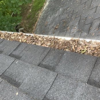 Tri-County Roofing and Home Improvement - Maple tree seeds in gutter guard - General Contractors Near Me - Defiance, Ohio Tri-County Roofing and Home Improvement - Maple tree seeds in gutter guard - General Contractors Near Me - Defiance, Ohio