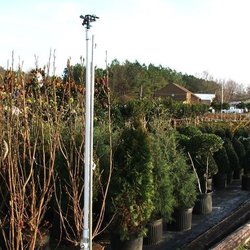 Greenway Nursery