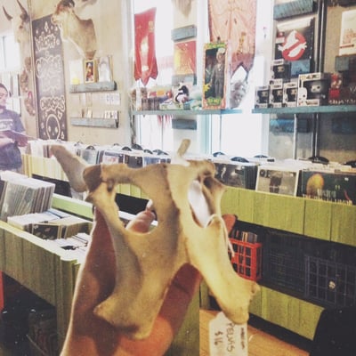 Graveface Records & Curiosities by null