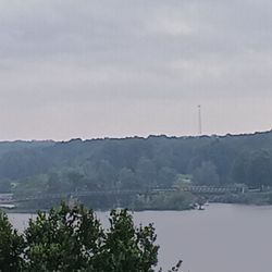 Cooters Pond