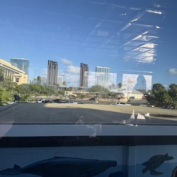 Majestic by Atlantis Cruises - Boat Tours Near Me - Honolulu, Hawaii Majestic by Atlantis Cruises - Boat Tours Near Me - Honolulu, Hawaii