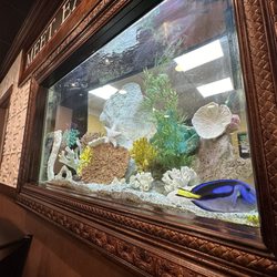 Strathmore Bagels - Fish!