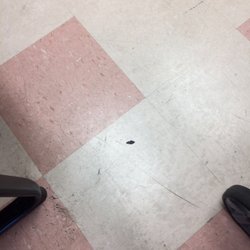 Cathedral City Family Medical Clinic - Bugs