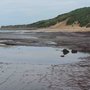Photo of Long Reef Aquatic Reserve