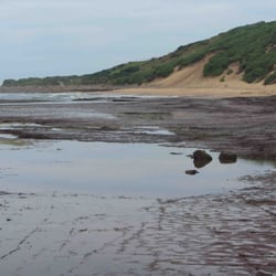 Long Reef Aquatic Reserve