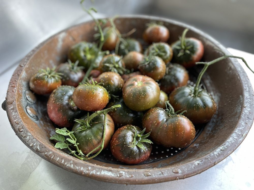 GRAB N’ GROW SOIL PRODUCTS Updated September 2024 15 Photos & 29 Reviews 2759 Llano Rd