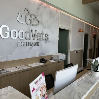 Good Vets - Fish Hawk - High end finishings and a stunning design (especially for a vet) - Veterinarians Near Me - Lithia, Florida Good Vets - Fish Hawk - High end finishings and a stunning design (especially for a vet) - Veterinarians Near Me - Lithia, Florida