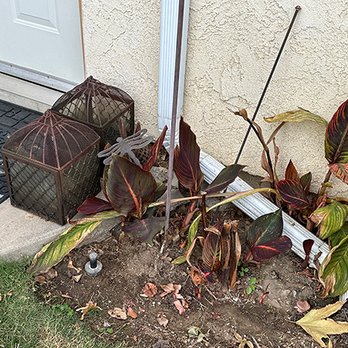 The Weed Man - Tree Services Near Me The Weed Man - Tree Services Near Me