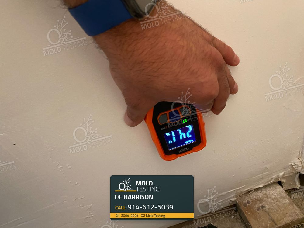 O2 Mold Testing - mold inspector in Harrison, NY