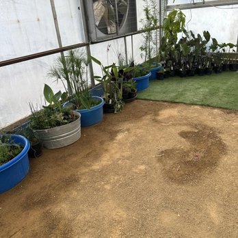 Botany - Nurseries & Gardening Near Me - Las Vegas, Nevada Botany - Nurseries & Gardening Near Me - Las Vegas, Nevada