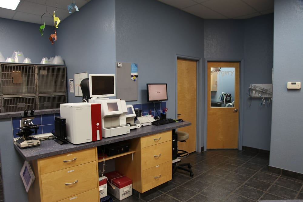 clearview dog and cat hospital red deer