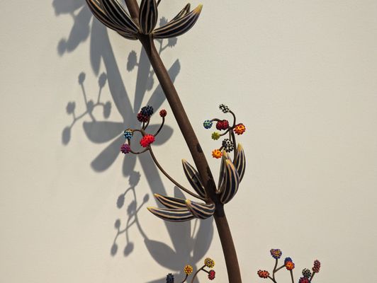 Asheville Art Museum by null