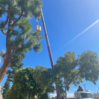 Rebel Air - More of the crane - Heating & Air Conditioning/HVAC Near Me - Santa Ana, California Rebel Air - More of the crane - Heating & Air Conditioning/HVAC Near Me - Santa Ana, California