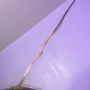 Photo of Avanti Salon