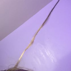 Avanti Salon