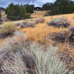 Massacre Rocks State Park - If you look close, you can see the " Cottontail" cabin from the Snake River.