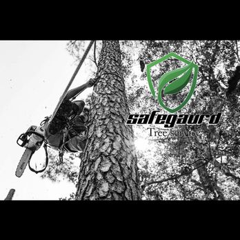 Safeguard Tree Service - Tree Services Near Me Safeguard Tree Service - Tree Services Near Me